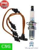 پک ویژه افزایش شتاب و قدرت خودروهای دوگانه‌ سوز مناسب برای 405 پارس سمند