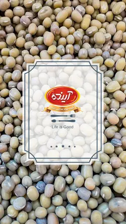 ماش آینده