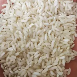 برنج عنبربو خوش پخت