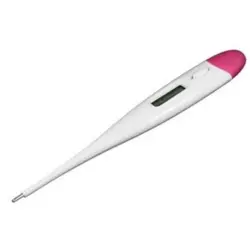 تب سنج دیجیتال بریسک مدل PG900 ا brisk