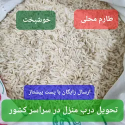 برنج طارم محلی فریدونکنار