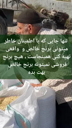 برنج کشت دوم طارم هاشمی عطری وزن خالص ۴۰ کیلوگرم