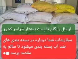 برنج کشت دوم طارم هاشمی عطری وزن خالص ۴۰ کیلوگرم