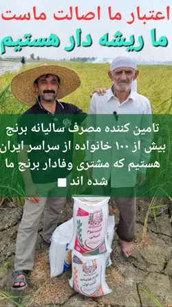 برنج کشت دوم طارم هاشمی عطری وزن خالص ۴۰ کیلوگرم