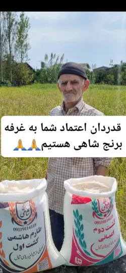 برنج کشت دوم طارم هاشمی عطری وزن خالص ۴۰ کیلوگرم