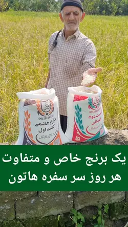 برنج کشت دوم طارم هاشمی عطری وزن خالص ۶۰ کیلوگرم