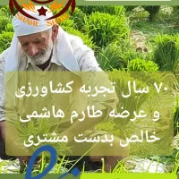 برنج کشت دوم طارم هاشمی عطری وزن خالص ۶۰ کیلوگرم