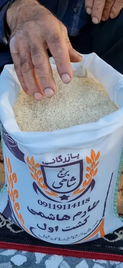 برنج طارم هاشمی عطری کشت اول وزن خالص ۸۰ کیلوگرم