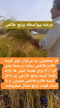 برنج طارم هاشمی عطری کشت اول وزن خالص ۸۰ کیلوگرم