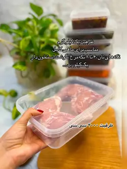 ظروف فریزری 2000سی سی