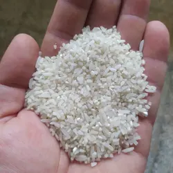 سرلاشه طارم