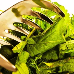 ابزار آشپزی مدل ROYAL