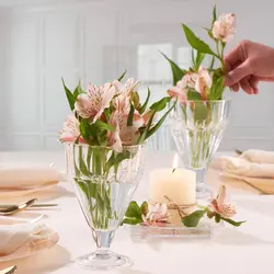 بستنی خوری جفتی مدل Pleats برند پاشاباغچه ترکیه _ شناسه کالا : ۶۸۱۳۶