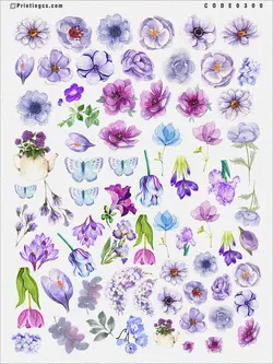 ترانسفر کد 300