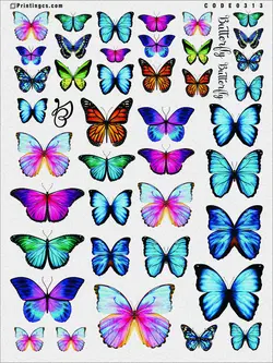 ترانسفر مدل پروانه کد 313