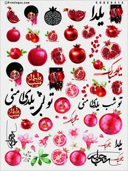 ترانسفر مدل یلدا کد 312