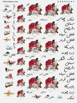ترانسفر ادویه کد ۲۹۴