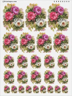 ترانسفر کد 289