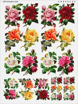 ترانسفر کد 288