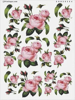 ترانسفر کد 284