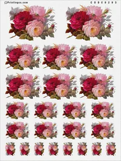 ترانسفر کد ۲۹۳