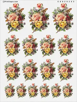 ترانسفر کد 283