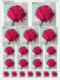 ترانسفر کد 290