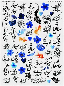 ترانسفر مدل نوروز کد 306