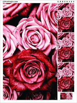 ترانسفر مدل گل کد 303