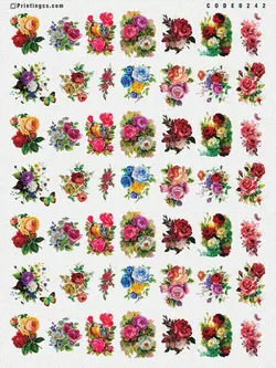 ترانسفر مدل گل کد 242