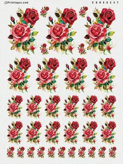 ترانسفر مدل گل کد 247