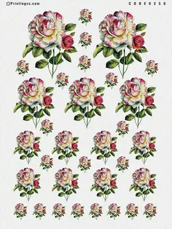 ترانسفر مدل گل کد 250