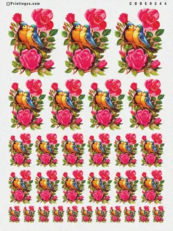 ترانسفر مدل گل کد 244