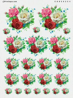 ترانسفر مدل گل کد 254