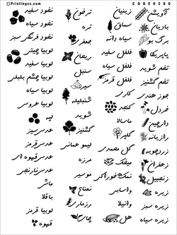 ترانسفر مدل نظم دهنده ادویه و حبوبات کد 260