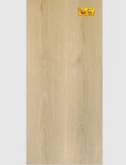 پارک لام 5025