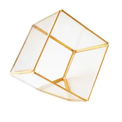 باکس شیشه ای مدل تراریوم مکعب کد 56