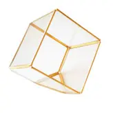 باکس شیشه ای مدل تراریوم مکعب کد 56