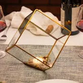 باکس شیشه ای مدل تراریوم مکعب کد 56