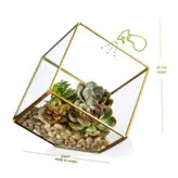 باکس شیشه ای مدل تراریوم مکعب کد 56