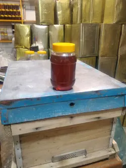 عسل زنبور وحشی ارگانیک