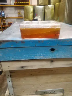 عسل گون موم دار