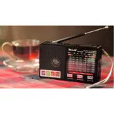 اسپیکر بلوتوثی قابل حمل گولون مدل RX-8866BT