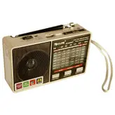 اسپیکر بلوتوثی قابل حمل گولون مدل RX-8866BT