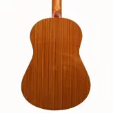 گیتار رزونانس h320