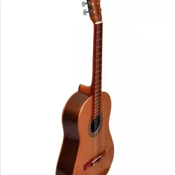 گیتار نورانیا C2