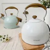 کتری وارداتی داخل استیل رویه چدن