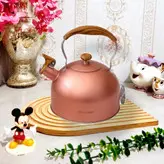 کتری وارداتی داخل استیل رویه چدن