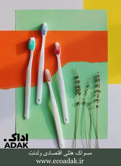 مسواک اقتصادی ولدنت