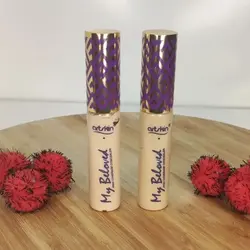 کانسیلر آرت اسکین